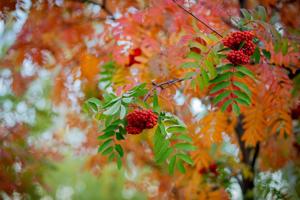 Photograph by Светлана Голик