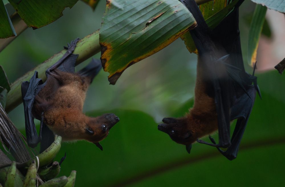 Photograph by Sangeetha Damodaran