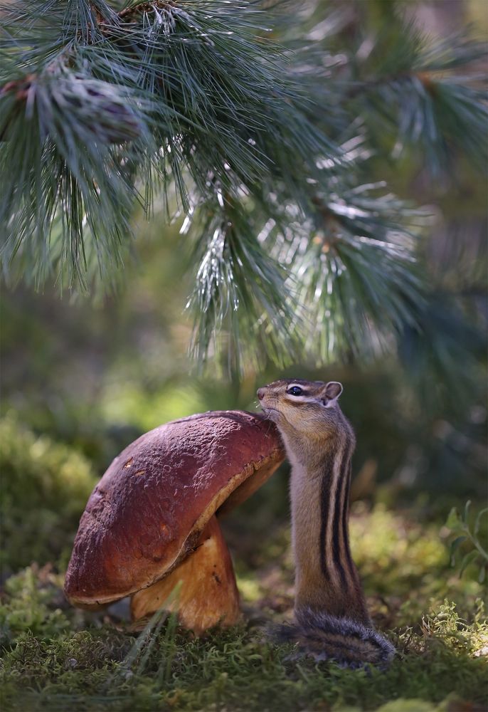 Photograph by Евгения Левина