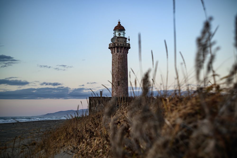 Фотография автора Маргарита Белошицкая