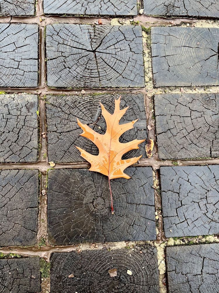 Лист в ожидании