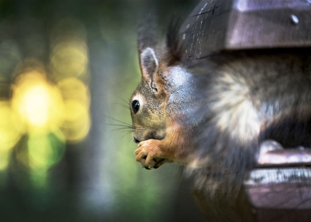 Photograph by Valery Pegushev