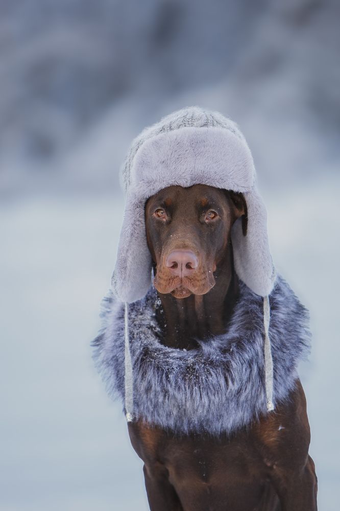 Photograph by Мария