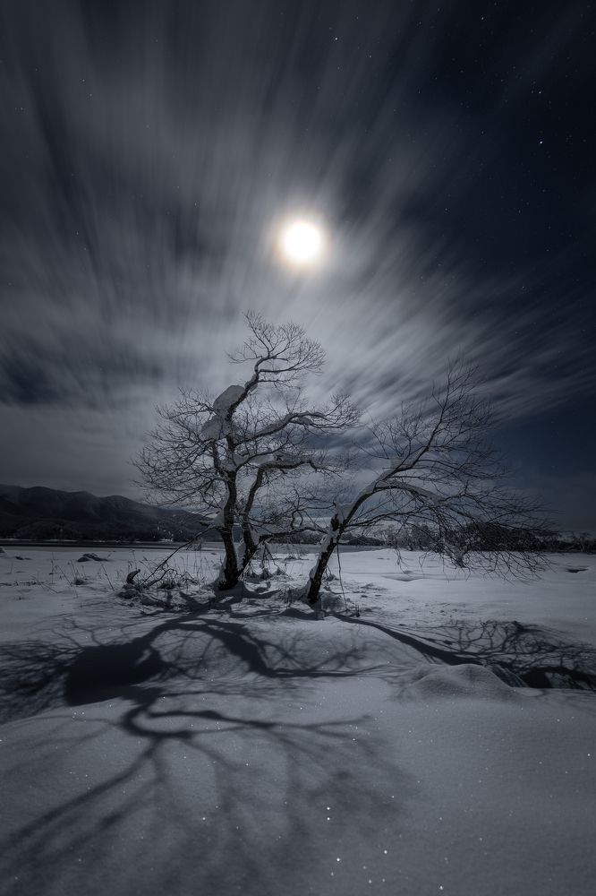 Winter Moonlight