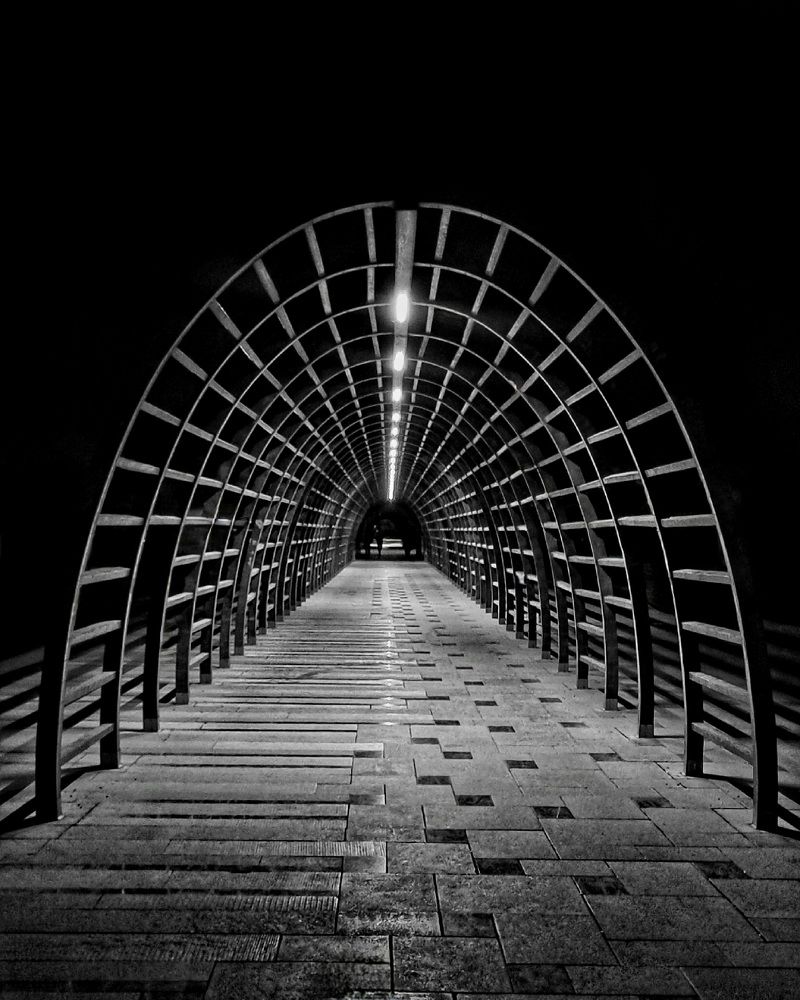 Фотография автора Zahra Seyedmorti