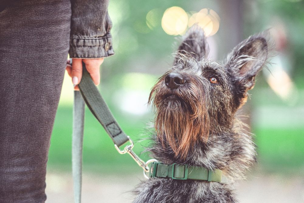 Фотография автора Ольга Тенилова