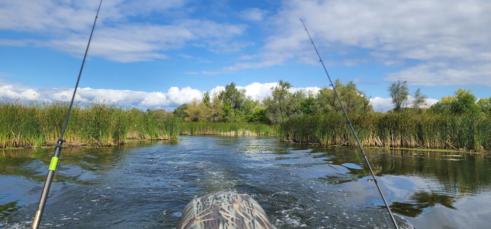 Photograph by Tatiana Denisova