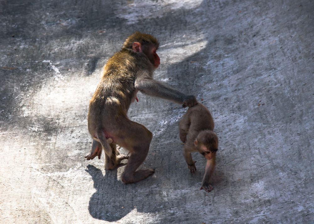 Photograph by Valery Pegushev