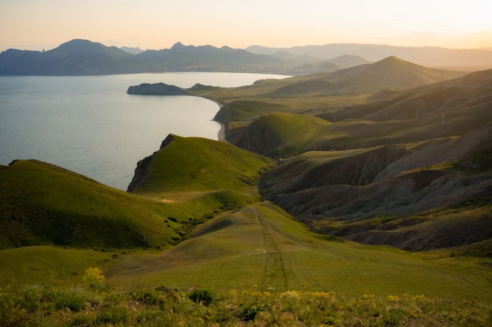 Фотография автора Татьяна Тур