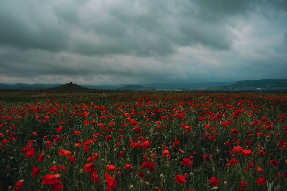 Фотография автора Татьяна Тур