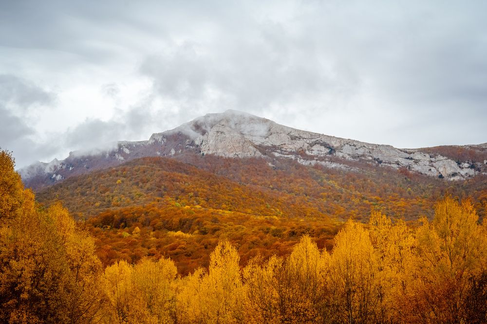 Фотография автора Татьяна Тур