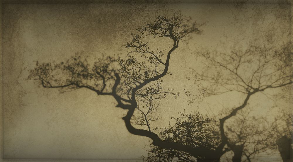 Фотография автора Михаил Кабанов