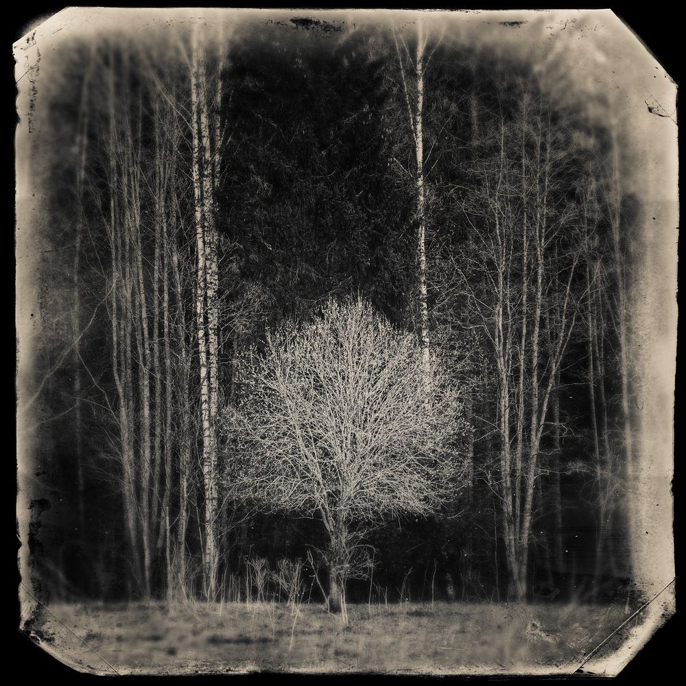 Фотография автора Михаил Кабанов