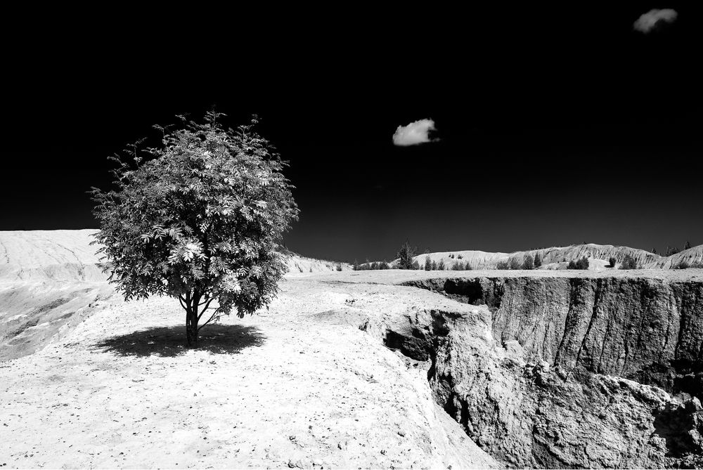 Фотография автора Михаил Кабанов