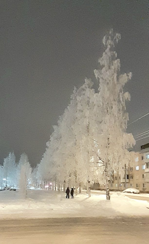 Photograph by Соколова Елена