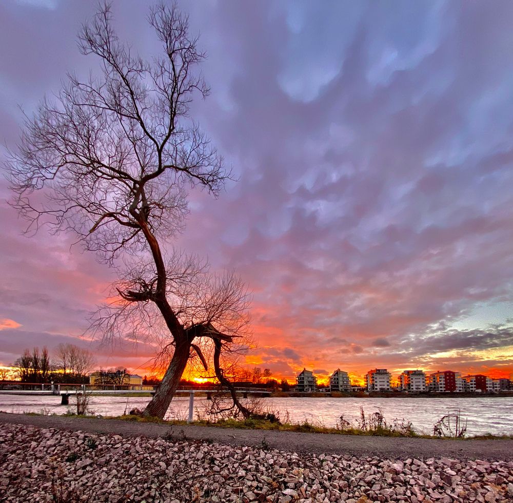 Photograph by Janina Segeda