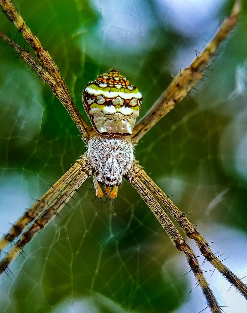 Photograph by SAIKAT PAL