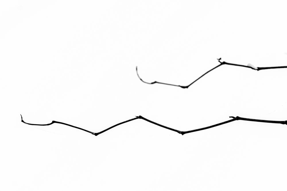 Photograph by Екатерина Бахтинова