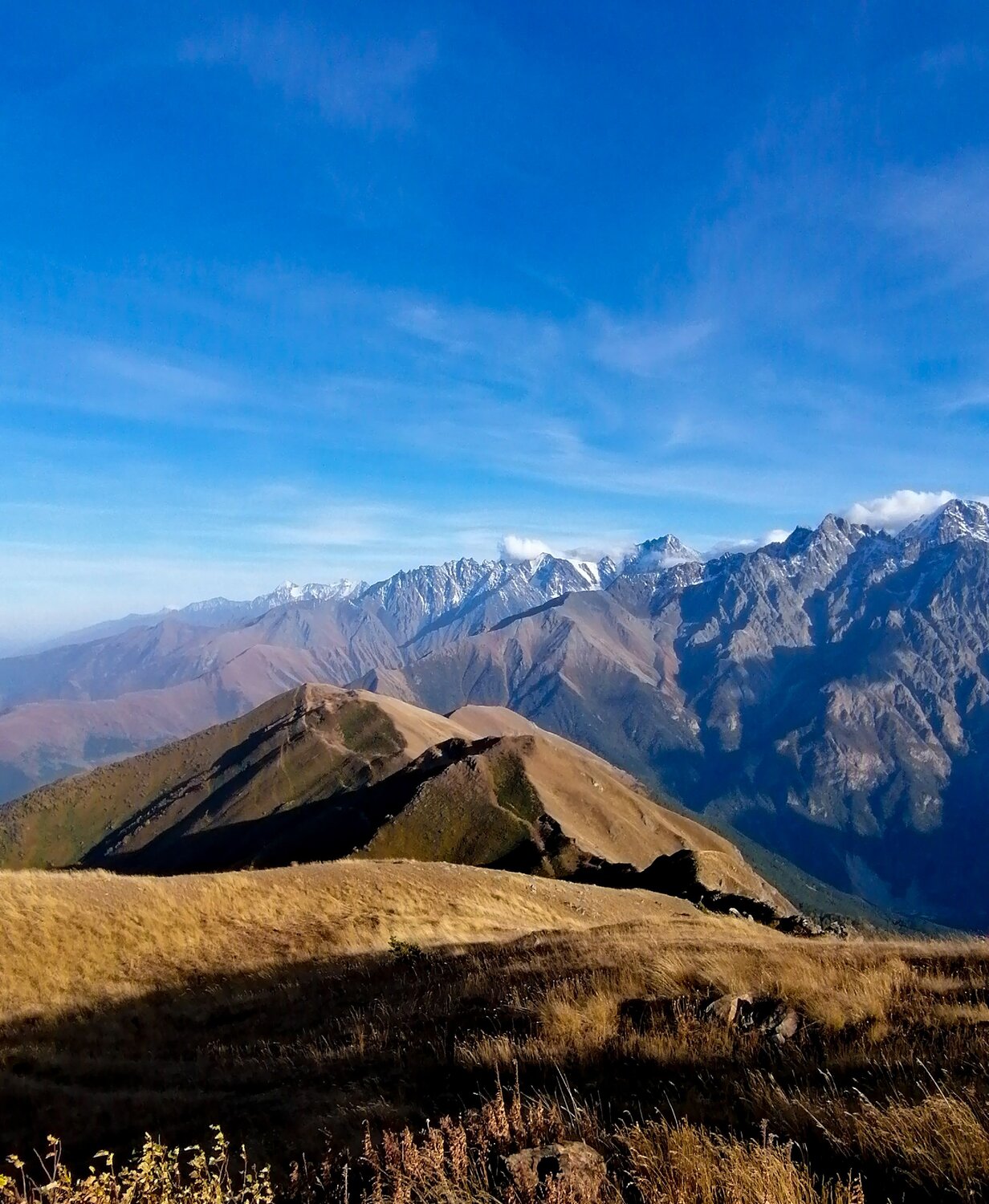 Photo #9940279