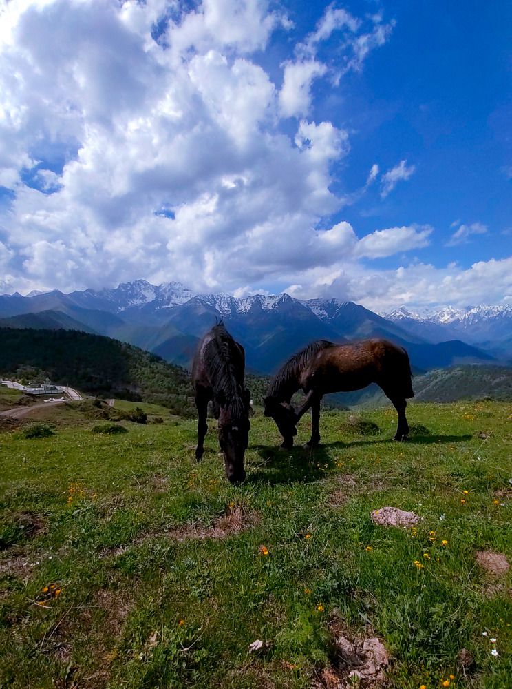Photograph by Станислав Семенов