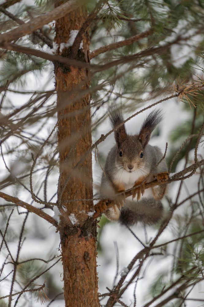 Photograph by Высотских Владимир