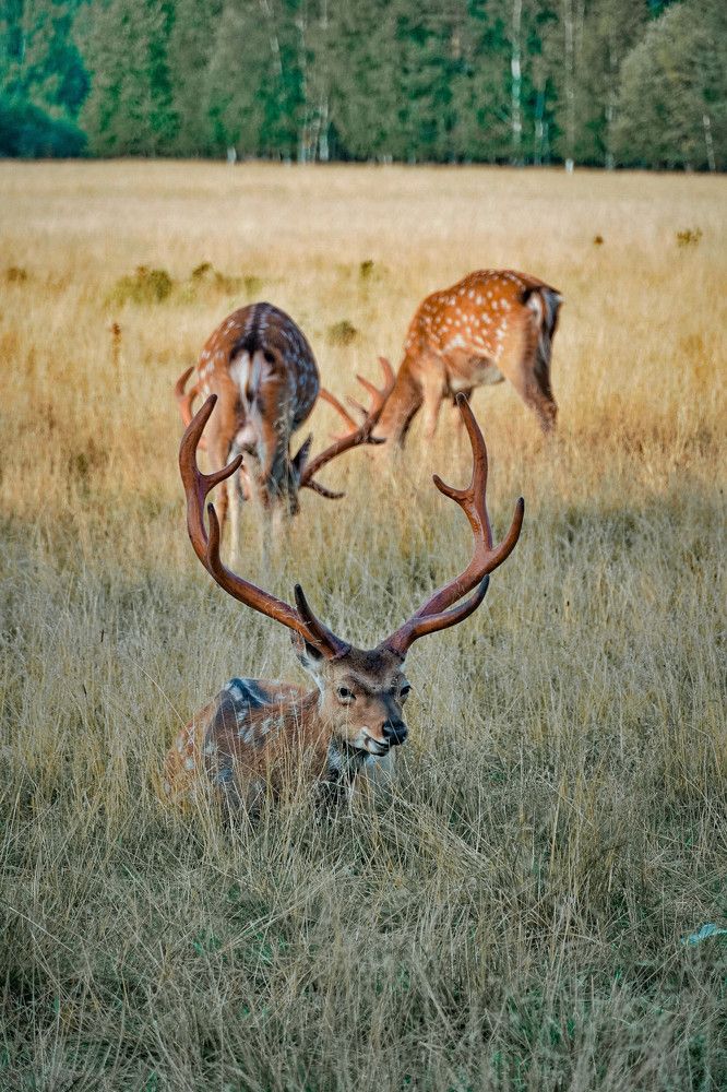 Photograph by Высотских Владимир