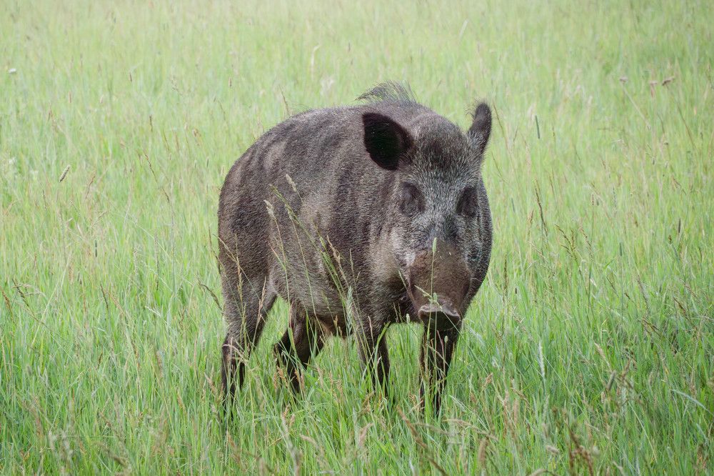 Photograph by Высотских Владимир