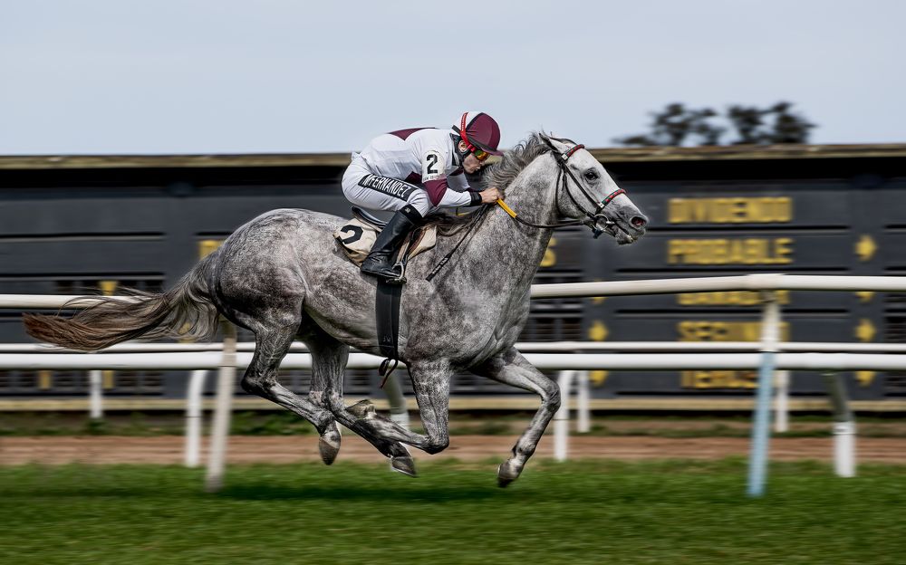 Фотография автора Carlos Gianoli