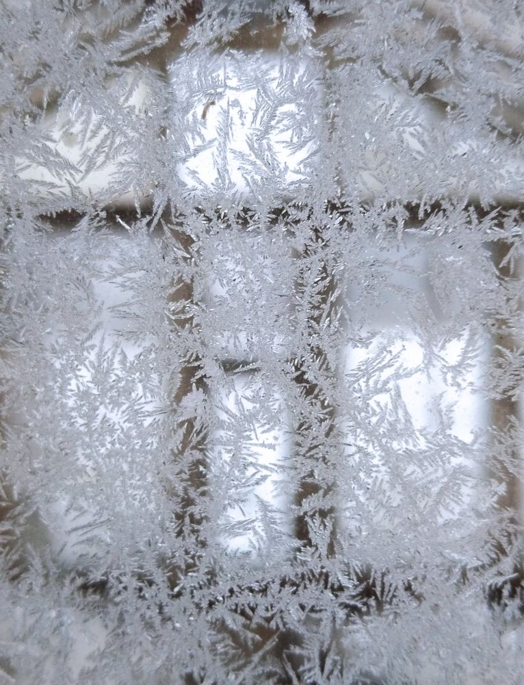 Photograph by Елена Коробченко