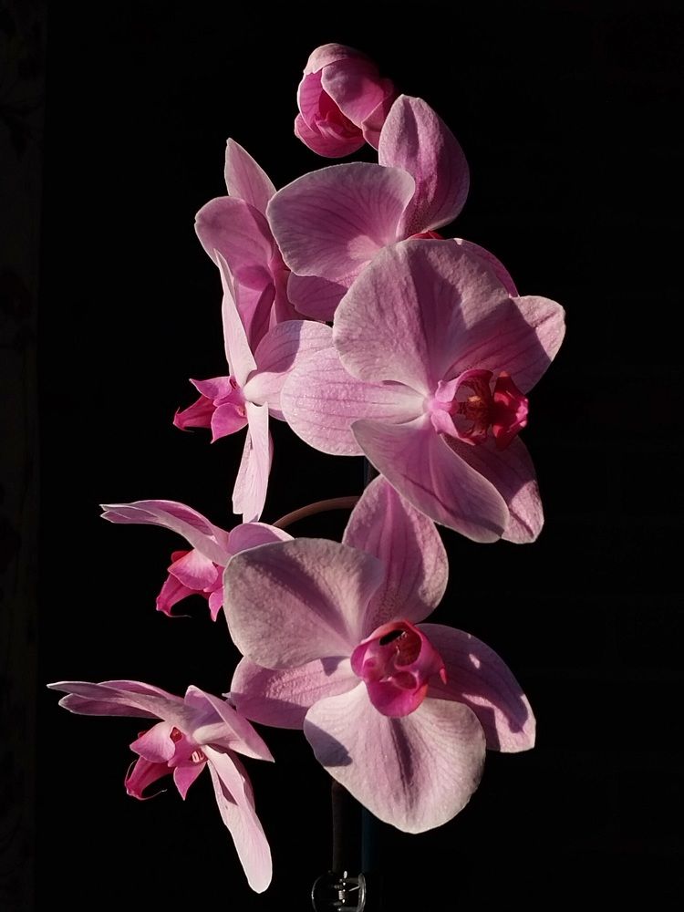 Photograph by Юлия Фирман