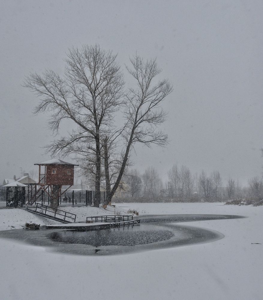 Photograph by Oleg Tsvetkov