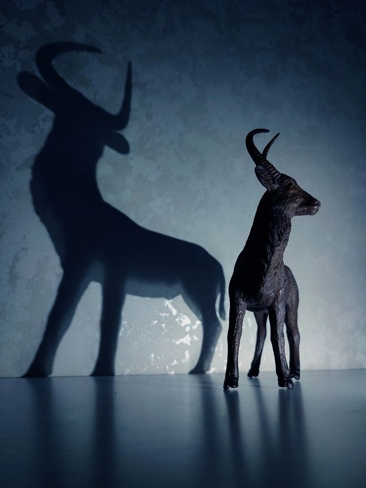 Photograph by Пауничева Вера