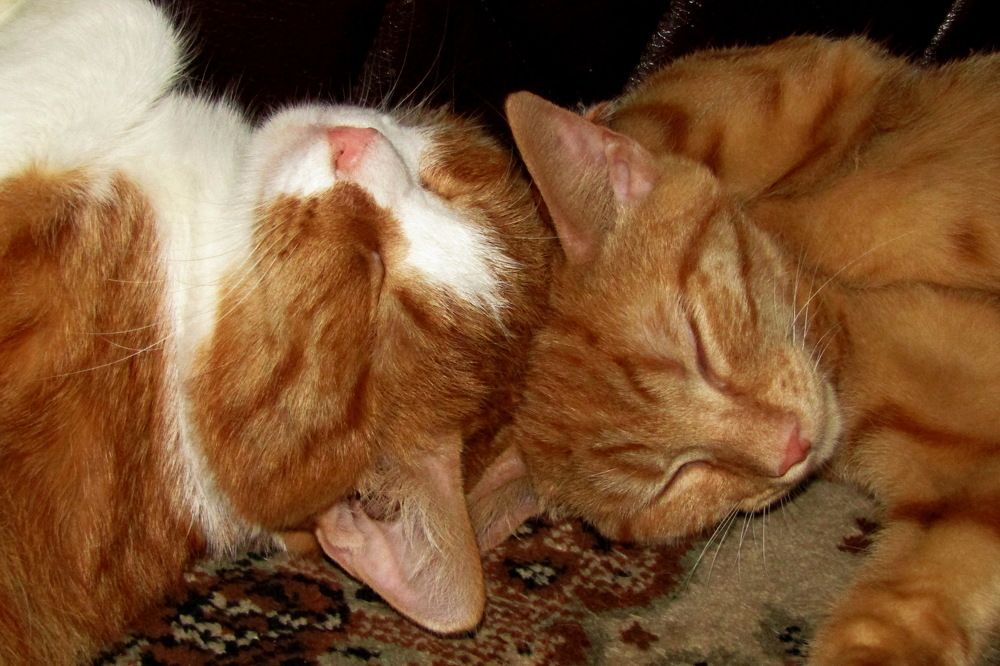 Photograph by Дмитрий Симагин