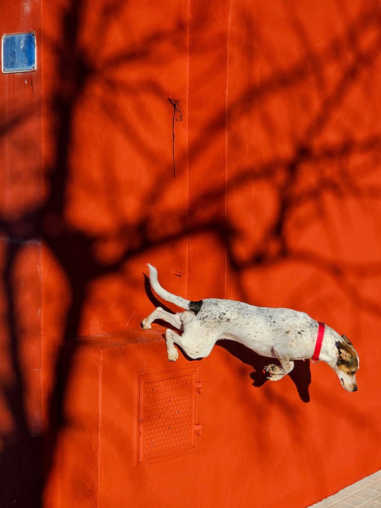 Photograph by Анастасия Голубева