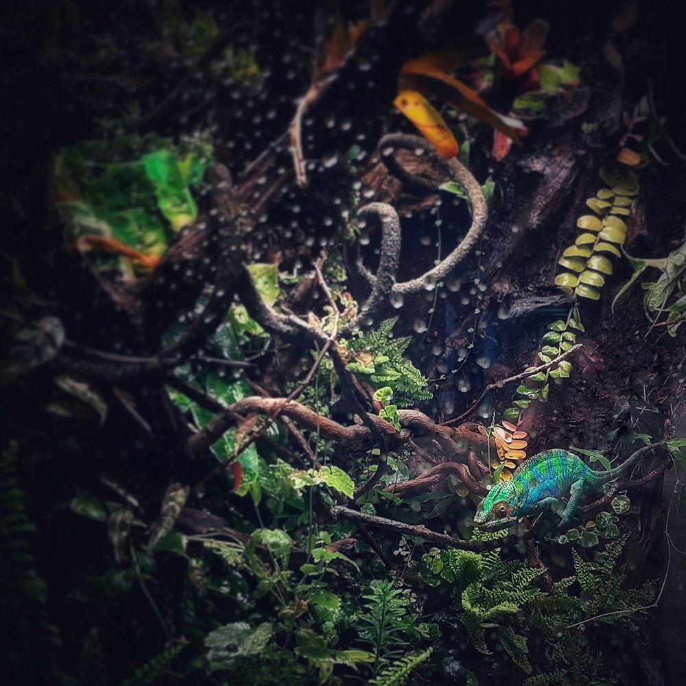 Photograph by Кристина Панченко