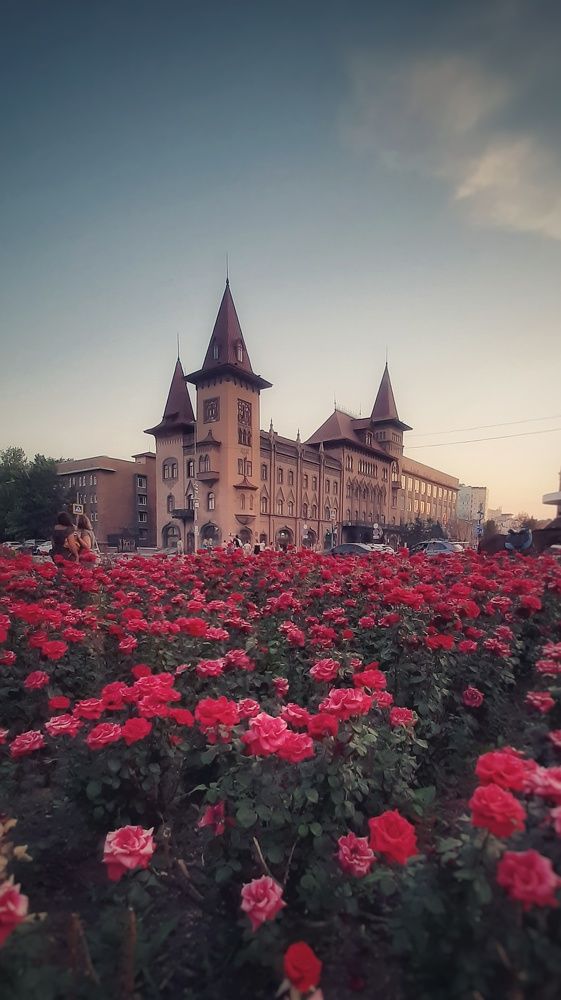 Photograph by Кристина Панченко