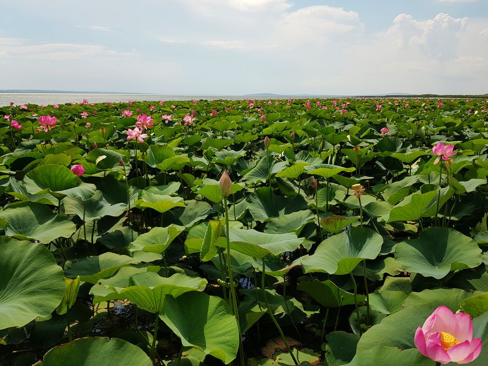 Photograph by Nataliya Kalinina