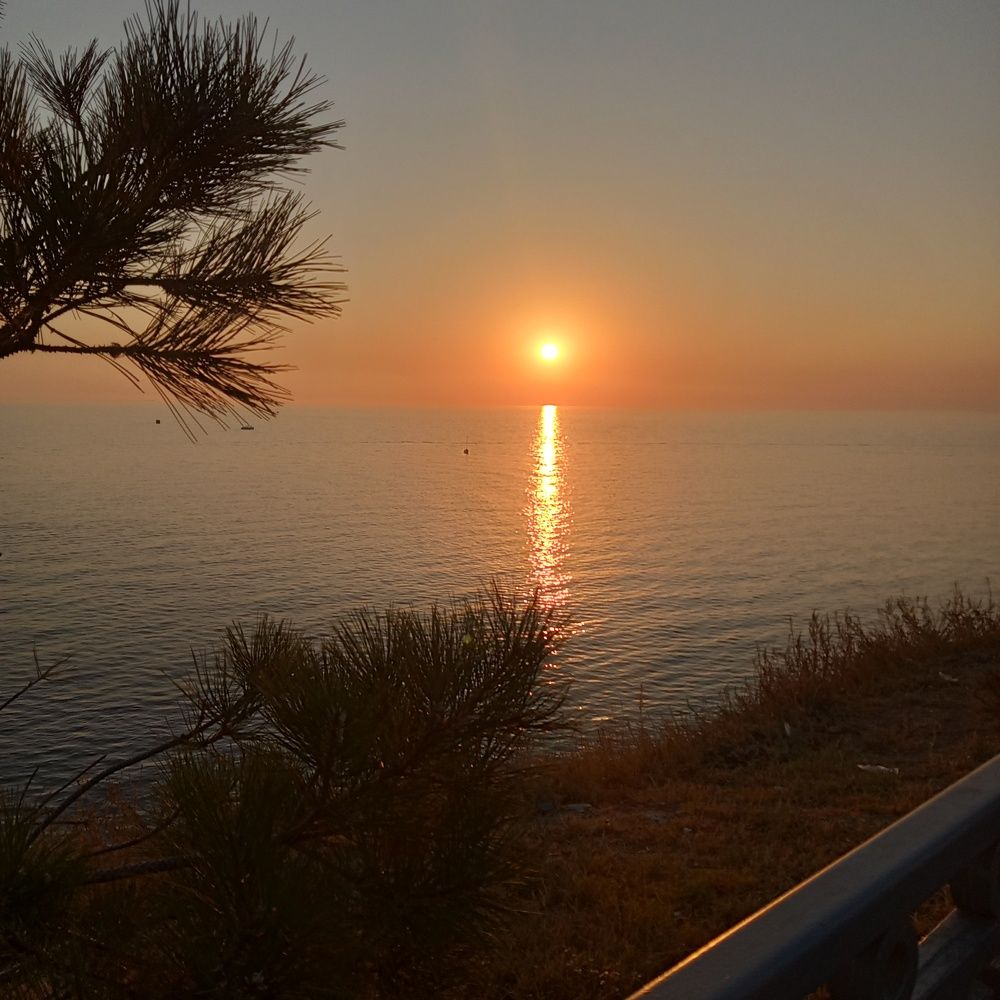 Photo #9940664