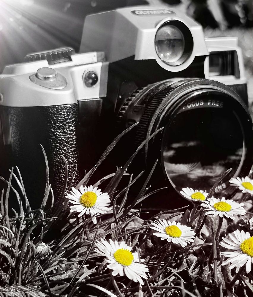 Photograph by Alen Brkić