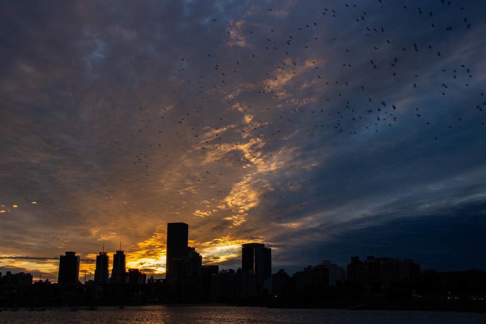 Photograph by Jorge Bagnuoli