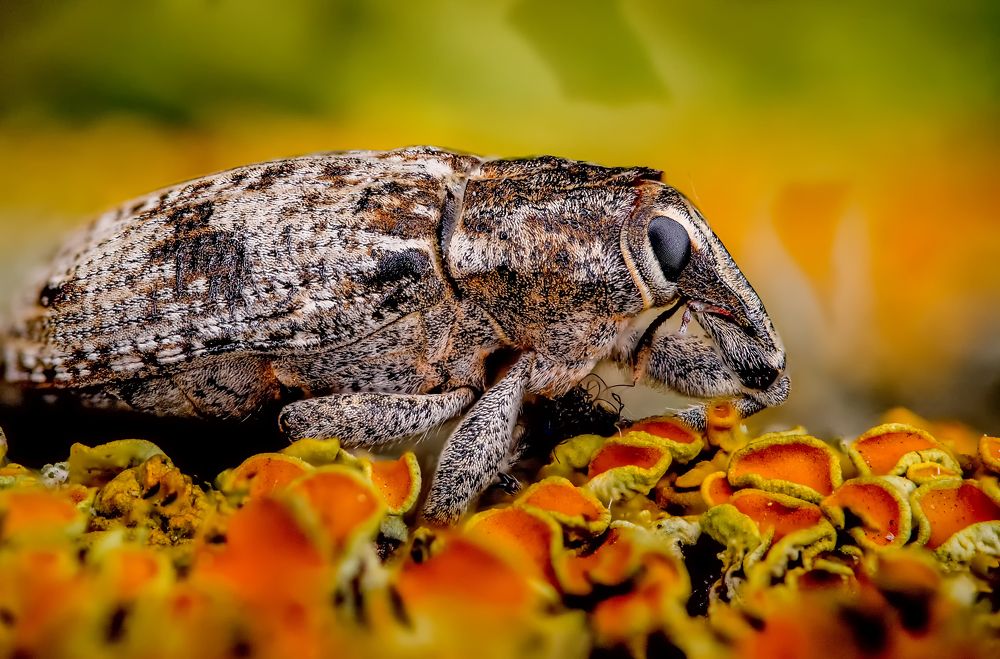 Photograph by Юрий Яковлевич