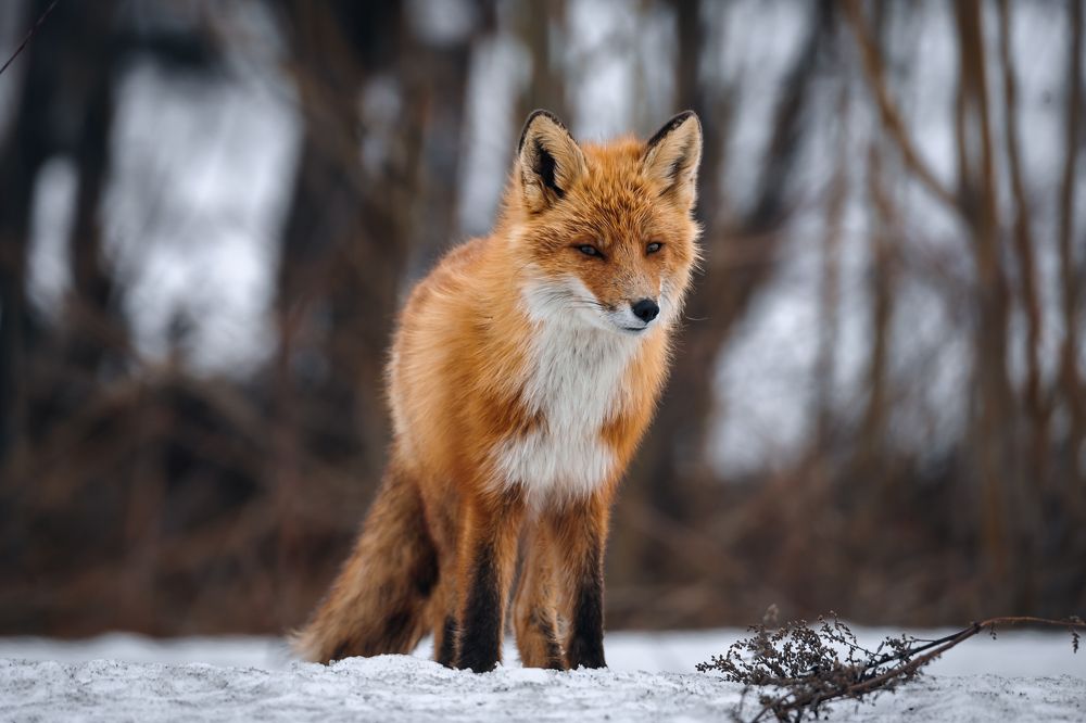 Photograph by Житников Евгений