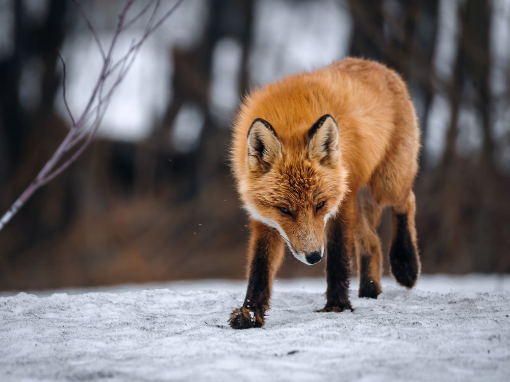 Photograph by Житников Евгений