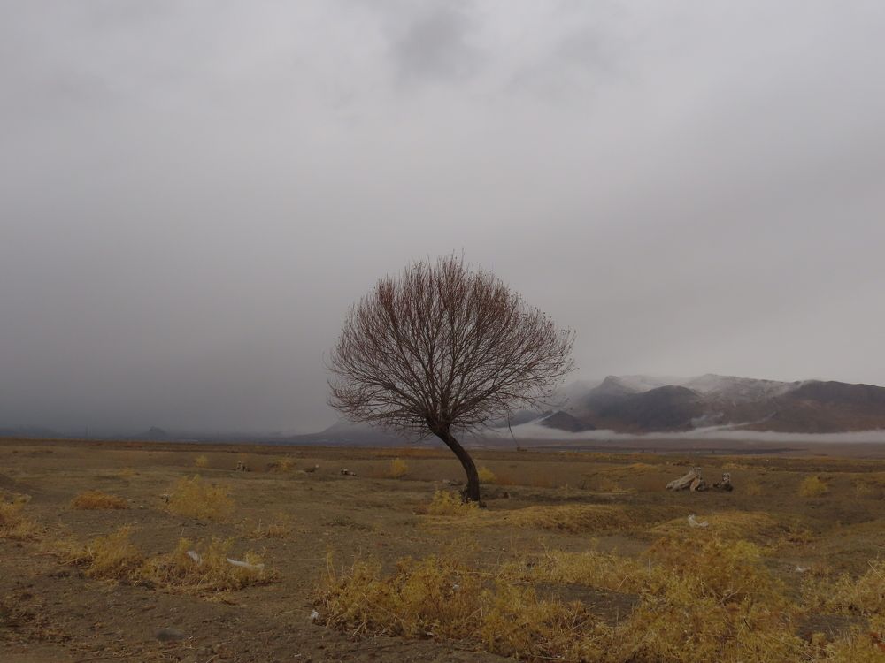 Photograph by mahboube moradalizade