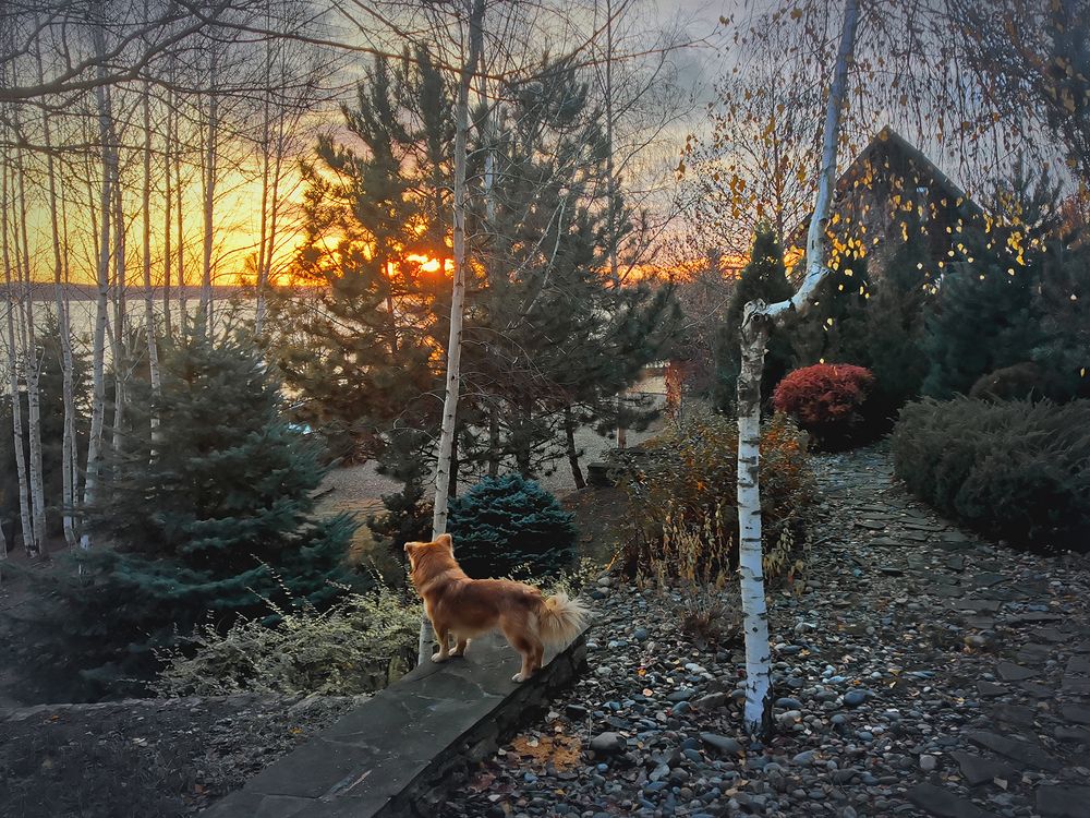 Photograph by Владимир Каюков