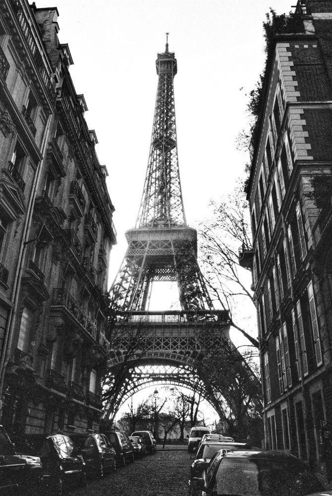 Photograph by Andréia Kris