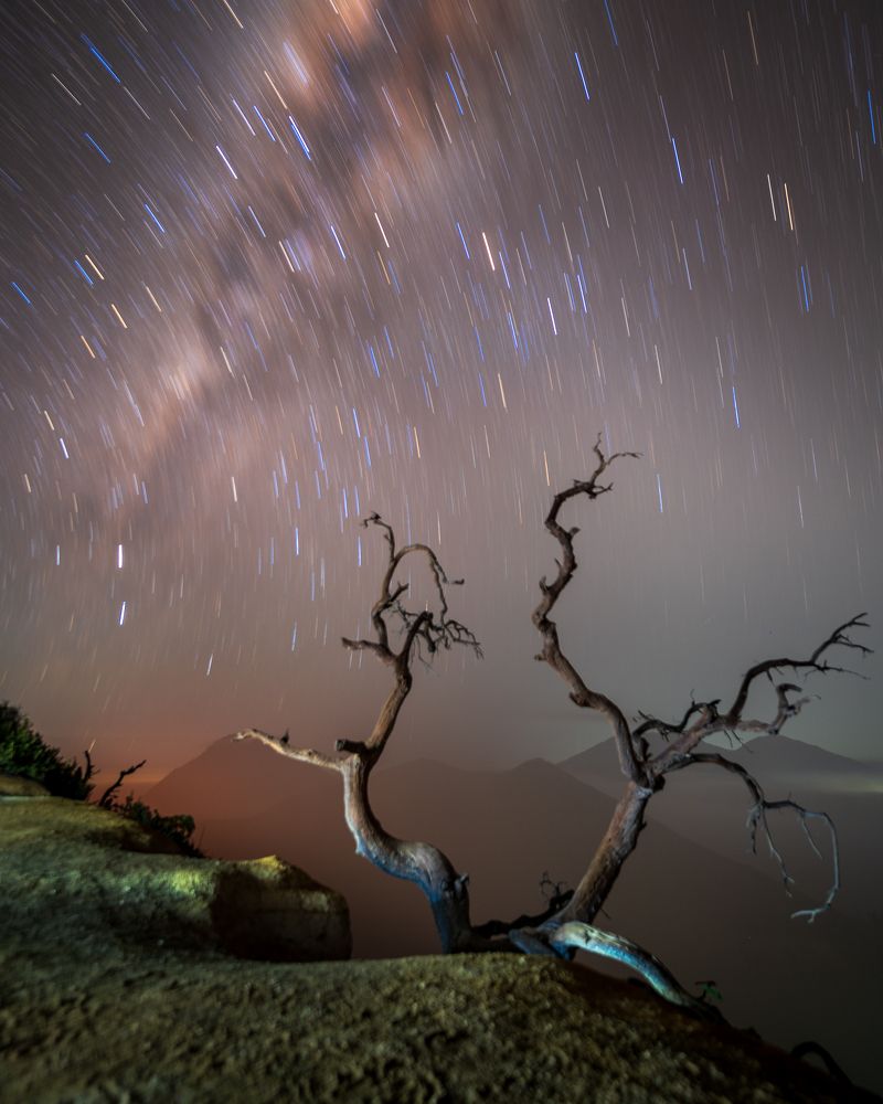 Photograph by evi soedarsono