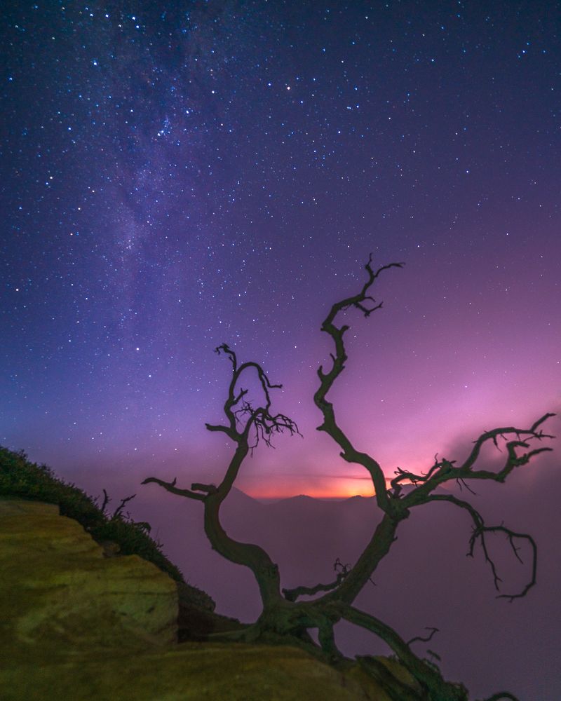 Photograph by evi soedarsono