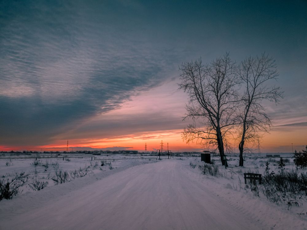 Photo #9940906