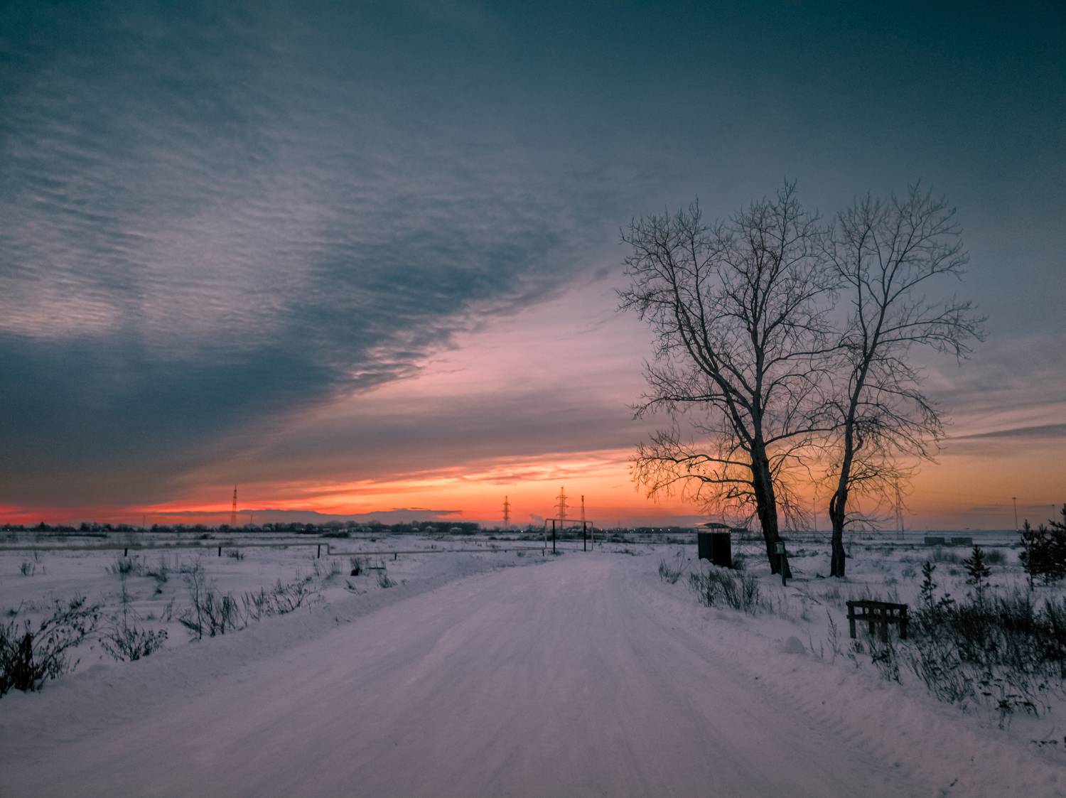 Photo #9940906